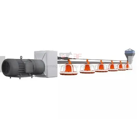Automatic Poultry Nipple Drinker System and Pan Feeder Sysytem for Broilers