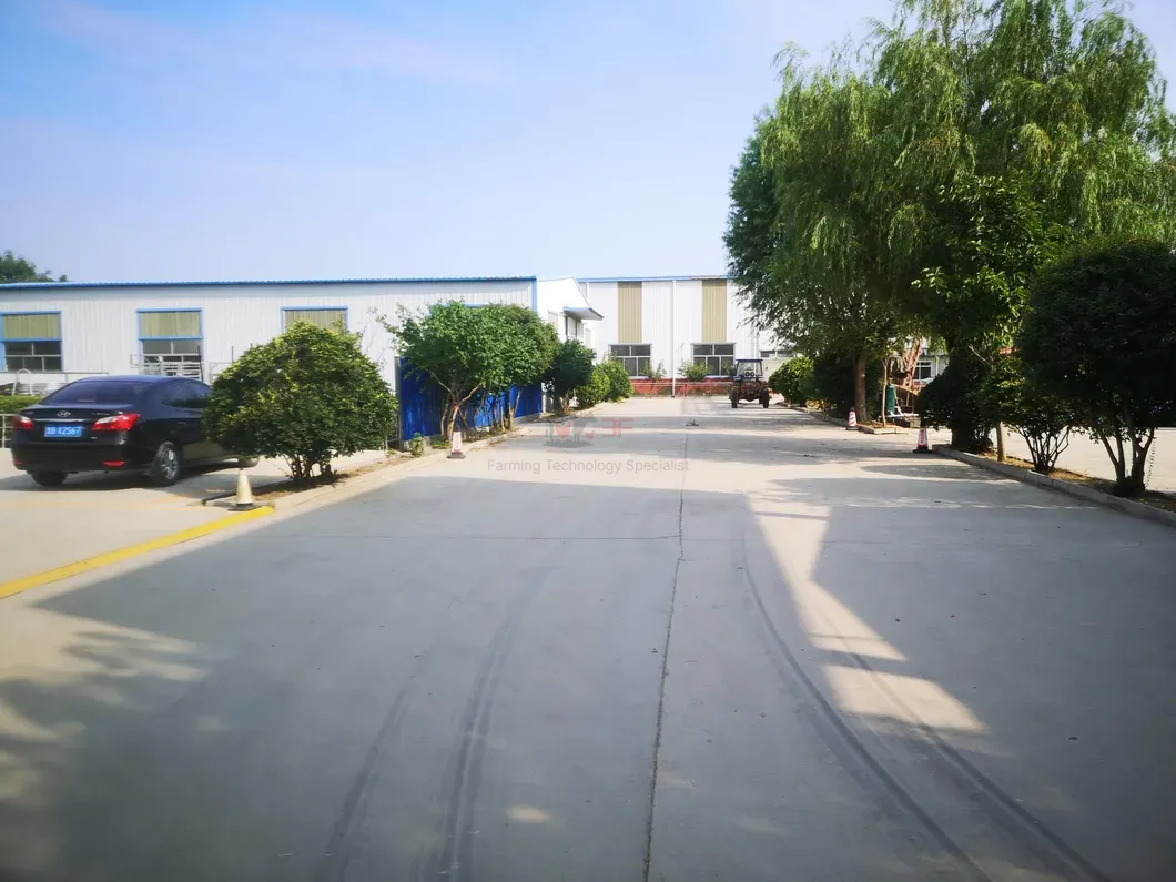 Automatic Poultry Nipple Drinker System and Pan Feeder Sysytem for Broilers