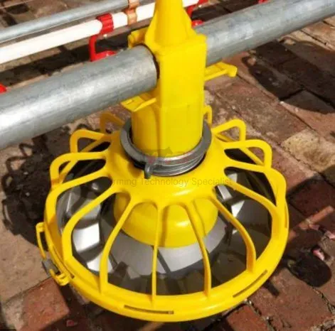 Automatic Poultry Nipple Drinker System and Pan Feeder Sysytem for Broilers