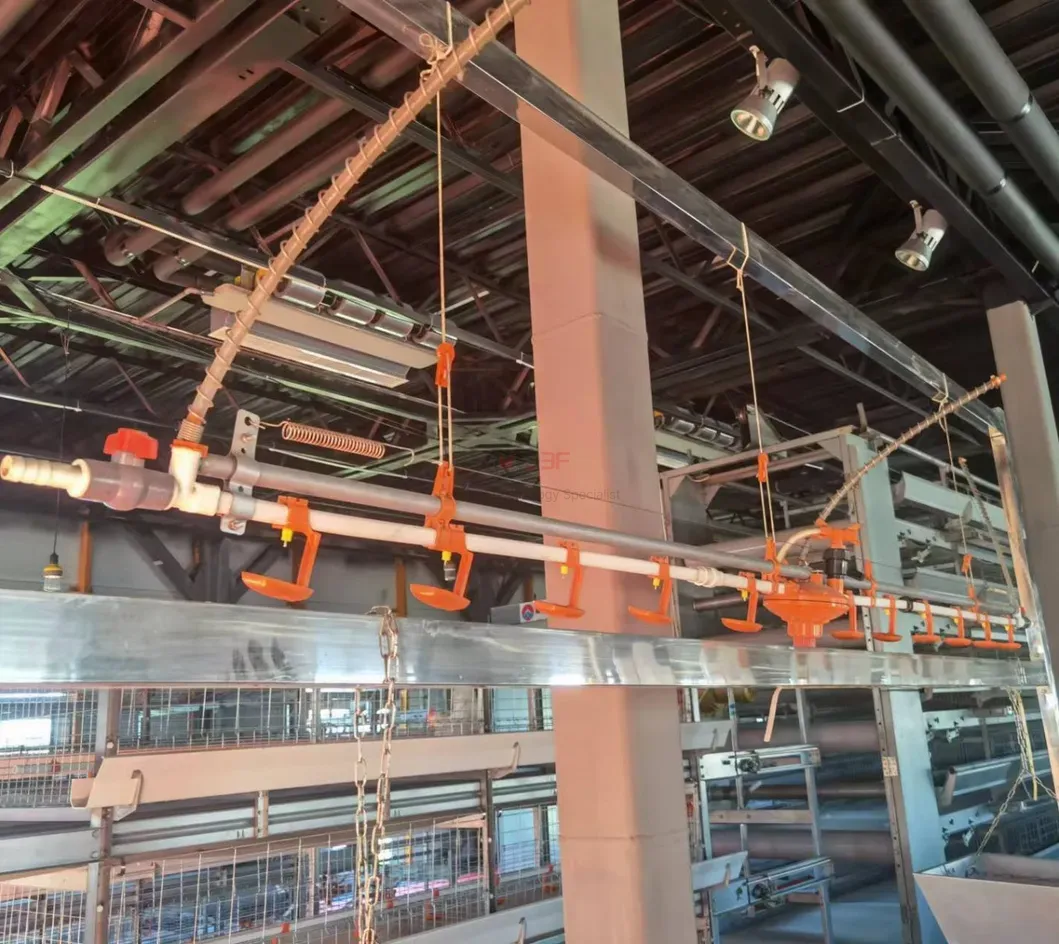 Automatic Poultry Nipple Drinker System and Pan Feeder Sysytem for Broilers