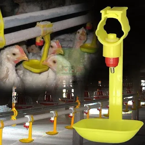 Automatic Poultry Nipple Drinker System and Pan Feeder Sysytem for Broilers
