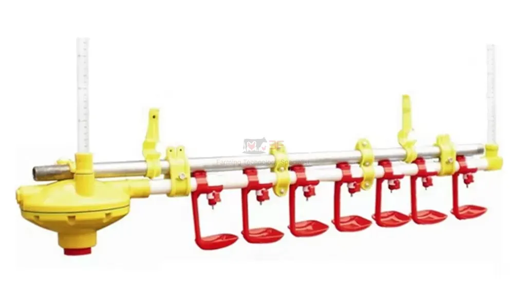 Automatic Poultry Nipple Drinker System and Pan Feeder Sysytem for Broilers