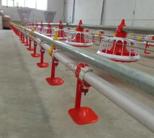 Automatic Poultry Nipple Drinker System and Pan Feeder Sysytem for Broilers