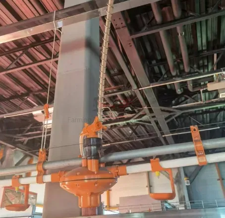 Automatic Poultry Nipple Drinker System and Pan Feeder Sysytem for Broilers