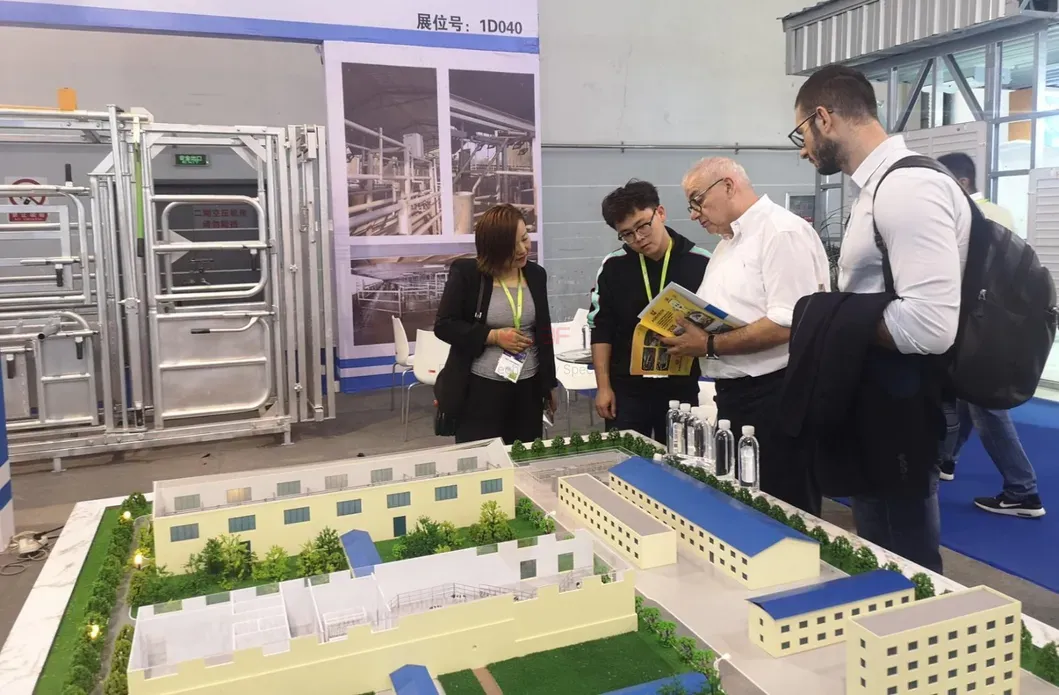 Automatic Poultry Nipple Drinker System and Pan Feeder Sysytem for Broilers