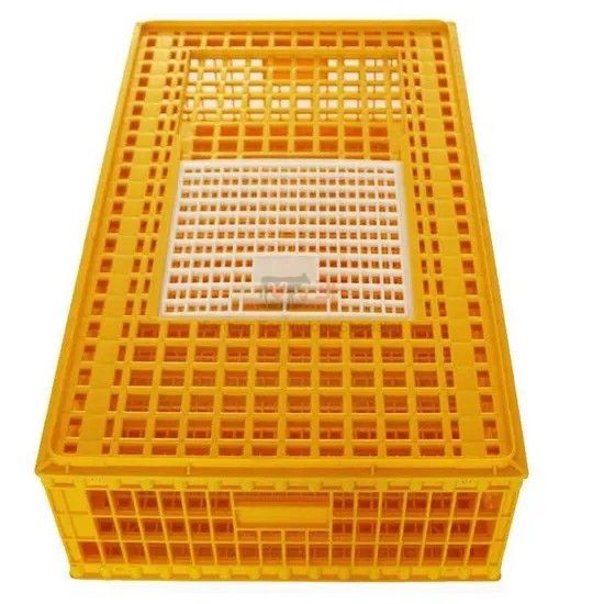 High Quality Plastic Poultry Transport Crate Durable Chicken Crate
